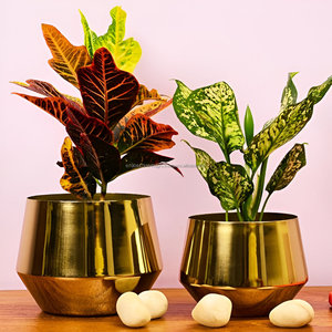 Vente chaude Métal Or Brillant Polonais 2 Pièces Jardinière Ensemble Pour Restaurant Hôtel Maison à Bas Prix - Product Image 2
