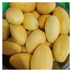 Mango Congelado de Calidad de Exportación de Vietnam con Excelente Frescura y Larga Vida Útil para Compradores Globales - Product Image 4