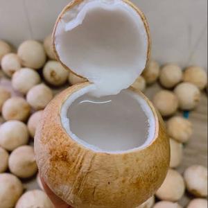 Base de Bebida de Agua de Coco Congelada, Proveedor OEM - Product Image 3