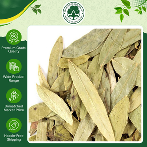 Extracto Herbal de Calidad de Exportación, Condimento y Especias, Hojas de Senna Secas 100% Puras a Bajo Precio - Product Image 4