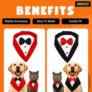 Costume de smoking pour chien, idéal pour mariage, fête, Noël – Vêtement formel moderne et léger pour animaux de compagnie – OEM ODM, logo personnalisé, fabricant direct - Product Image 2