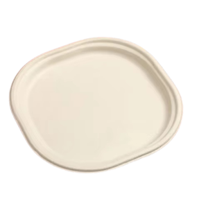 Platos cuadrados compostables de bagazo de 7 pulgadas de primera calidad |   Platos Biodegradables de Caña de Azúcar, Ecológicos y Desechables para Fiestas y Catering - Product Image 3