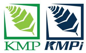 KMP Ginseng Noir Thaïlandais : Boost d'Énergie, Puissance Masculine Renforcée, Extrait de Gingembre Noir Sauvage 180mg, Comprimés Filmés, 30 Comprimés/Flacon, Santé - Product Image 5