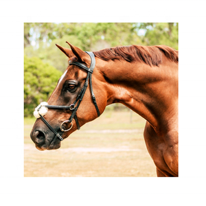 Ava grackle บังเหียนหนังแท้คุณภาพสูงพร้อมแทคหนังแกะม้าที่ใส่สบาย - Product Image 2