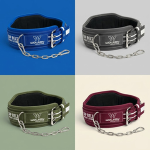Durable Nylon Dip <b>Belt</b> with Steel Chain for Fitness Strength Training and Calisthenics <b>Exercises</b> Top Trending <b>Belt</b>. - Product Image 6