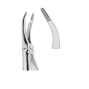 EXTRACTION FOCEPS Instrumentos quirúrgicos dentales de patrón inglés estándar con centrales y raíces superiores - Product Image 5