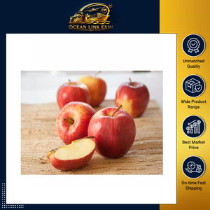 Fresh Red Apples Premium Grade Juicy Crisp Natural Fruit Ocean Link Exim 6cm 1kg for Retail Wholesale and Export - Product Image 6