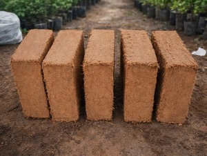 Substrat de culture en fibre de coco naturelle 650g, briquette à faible EC, haute rétention d'eau pour pépinière et horticulture - Product Image 6