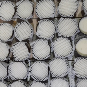 Carne de coco congelada de Vietnam 100 por ciento orgánico bocadillo saludable a granel al por mayor disponible exportación OEM por 99 Gold Data Company - Product Image 3