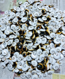 Gema Natural de Ojo de Shiva de Alta Calidad, Cabujón Suelto, Lote Directo de Fábrica, Lote a Granel de Gemas de Ojo de Shiva a Precio Mayorista - Product Image 4