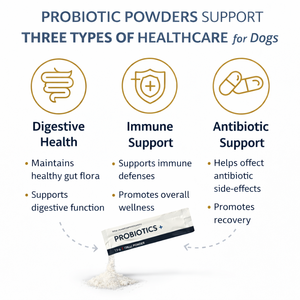 Poudre de probiotiques biologique OEM pour chiens et chats, 4 milliards d'UFC, soutien digestif et immunitaire, livraison rapide - Product Image 4