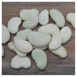 Premium Grade Lima <b>Beans</b> - Product Image 1