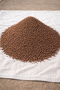 N.º 1 PROVEEDOR DE CLAVOS EN INDONESIA Clavos Enteros Secos Premium de Indonesia, Bolsas de PP de 25 kg, Grado AB, Proceso de Secado AD, Especias y Hierbas Individuales - Product Image 2