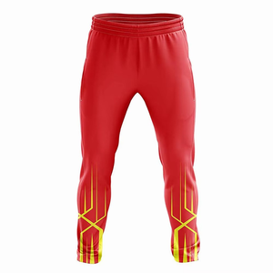 Premium Custom Cricket Uniform Set for Professional Teams Sublimated <b>Short</b> Sleeve Jersey and <b>Trouser</b> Adult Wholesale - Product Image 4