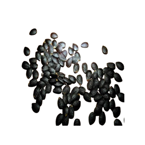 Export Quality Vietnam Manufacturer Supply Pure Dried Passion Fruit <b>Seeds</b> <b>Packed</b> in Various Size Bags - Product Image 1
