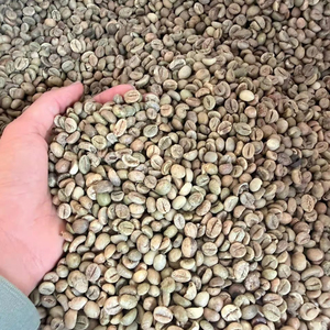 เมล็ดกาแฟเขียวออร์แกนิก แอนตี้ออกซิแดนท์สูง ไม่ใช่พืช GMO อาราบิก้า ปลอดสารเคมี ผลิตภัณฑ์เสริมอาหารแบบดิบ นำเข้าจากเวียดนาม ลำตง โดยตรง GCB26 - Product Image 1