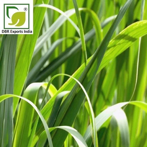 High Quality Palmarosa <b>Essential</b> <b>Oil</b> Factory Price for Soap Candle and Cosmetic Manufacturing - Product Image 3
