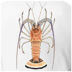 Nuevas Camisetas Sublimadas de Moda Urbana 2026, Ropa Deportiva Personalizada, Camisetas de Primera Calidad - Product Image 6