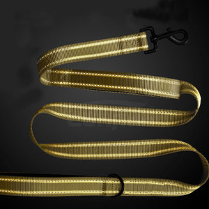 Laisse pour animaux de compagnie robuste pour l'extérieur, coutures renforcées, poignée souple, fermoir fiable pour la marche, la course et les voyages - Product Image 3
