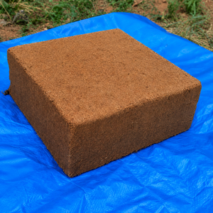 5Kg Block Double Washed Coco Peat For UAE Landscape Contractors And Public Garden Projects - Product Image 2