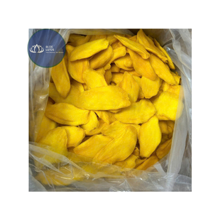 มีจำหน่าย |   มะม่วงอบแห้งเนื้อนุ่ม น้ำตาลน้อย |   ขนมผลไม้อบแห้งเขตร้อน สำหรับขายปลีก รับผลิตแบบ OEM แบรนด์ส่วนตัว เวียดนาม - Product Image 1