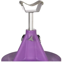 Support de sabot de cheval professionnel réglable et réutilisable en acier inoxydable, support de sabot de fermeur robuste, outil de fermeur de haute résistance