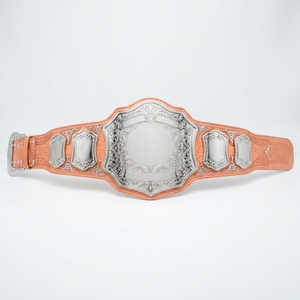 Ceinture de championnat sportif personnalisée, trophée de lutte et de boxe, ceinture de compétition avec plaques métalliques, sangle en cuir, nom personnalisé - Product Image 5