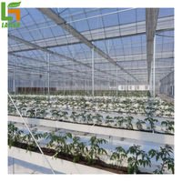 Système de culture hydroponique vertical agricole personnalisable Fournisseur de gouttières/canaux en PVC