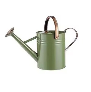 Arrosoir de jardin en acier et cuivre vert sauge, avec tête de pulvérisation en forme de rose, pour l'irrigation directe des plantes. - Product Image 1