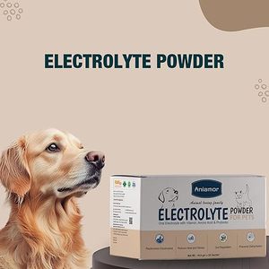 Poudre de supplément d'hydratation pour chiens sous marque privée, soutien électrolytique et de récupération, boisson énergétique aux acides aminés pour chiens actifs, OEM personnalisé - Product Image 4