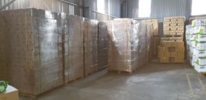 Competitive Price Toonies Spicy Flavor <b>Snack</b> 32g Hot Selling Crispy Food Wholesale Export Supplier - Product Image 5