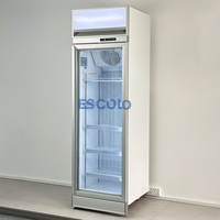 Congélateur commercial à porte simple pour la présentation de glaces et réfrigérateur vertical avec dégivrage automatique