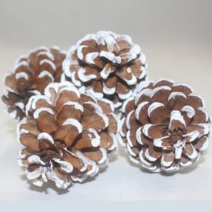 Bâton décoratif en pin botanique à pointe blanche Latoo pour la décoration de la maison, d'aquariums, de projets DIY et de bouquets - Product Image 2