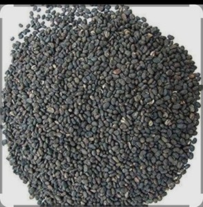 Graines de Bavanchi en gros, qualité alimentaire sauvage, approvisionnement en vrac pour la transformation brute et l'utilisation en herbes dans les produits ayurvédiques - Product Image 1