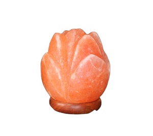 Lámpara de Sal USB con Forma de Flor, Ecológica, Hecha a Mano, Feng Shui, Rosa, Navidad, Año Nuevo, Ambiente Relajante, Sueño Reparador, Yoga - Product Image 1