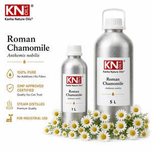 Top Grade 100%Pure Roman Chamomile <b>Essential</b> <b>Oil</b> from Aromatherapy Anthemis nobilis Organic Certified Bulk Manufacturer Exporter - Product Image 2