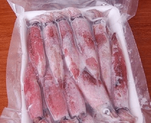 Tentacules de calmar surgelés IQF - Produits de la mer frais surgelés pour les grossistes - Product Image 2
