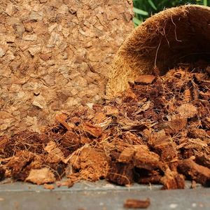 Blocs compressés de copeaux de coco bio 5kg – Écologiques et à forte rétention d'humidité (coco peat) - Product Image 1