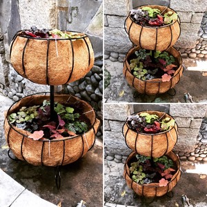 Natural Coir Fiber <b>Hanging</b> Basket with Chain for Outdoor Planting and Decoration - Product Image 5