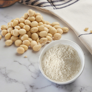 Concentrado de Proteína de Soya en Polvo, Ingrediente Alimenticio de Primera Calidad para Venta al por Mayor y Distribución de Exportación - Product Image 5