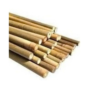 Caña de Bambú Natural, Varas Largas de Bambú, Postes de Bambú, Precio Económico, Proveedor de Vietnam - Product Image 1