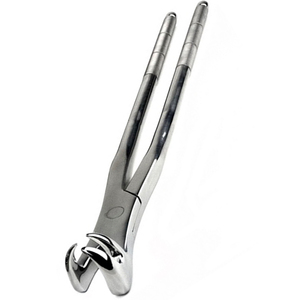 คีมถอนฟันม้าสำหรับสัตวแพทย์ ยี่ห้อ Gunther ทำจากเหล็กกล้าไร้สนิม สำหรับการผ่าตัดทางทันตกรรมม้า - Product Image 5