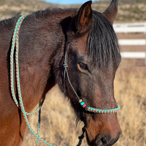 Fabricant direct d'équipements équestres : Licol en corde réglable pour chevaux, pour l'extérieur - Product Image 1