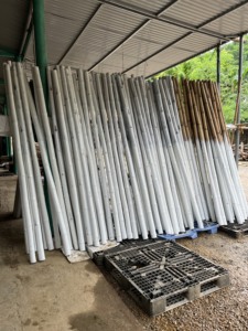 Poteaux en bambou naturel bruts durables pour le soutien des plantes grimpantes dans le jardinage et l'agriculture - Product Image 6