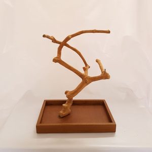 Producto Popular, Percha de Madera de Java (Madera de Café) para Pájaros, Juguetes para Loros, Accesorios para Aves, de Fabricante Vietnamita, Venta al por Mayor - Product Image 3