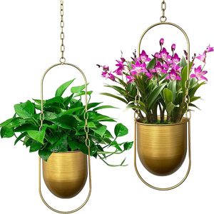 Gold <b>Hanging</b> <b>Basket</b> Ceiling <b>Hanging</b> Planter Hot Selling ndoor Plants Succulent Plants Cratone <b>Hanging</b> Plant Hanger Metal - Product Image 1