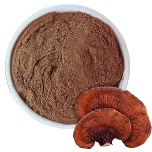 Poudre de champignon Reishi 100 % pure et naturelle (Ganoderma Lucidum) pour soutenir l'immunité et l'énergie - Product Image 5