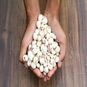Nueces de Makhana Indias Frescas de Primera Calidad, Nueva Temporada, de Origen Natural, con Procesamiento Cuidadoso y Empaque Flexible - Product Image 4