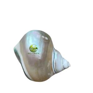 Elegante Porta Servilletas de Concha para Boda, Anillos de Concha de Perla Iridiscente, Decoración de Mesa para Fiestas con Temática Costera, Venta al por Mayor - Product Image 5