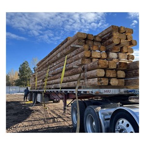 Troncos de Madera de Roble de Gran Diámetro para Aserraderos, Comerciantes de Madera y Fabricantes de Productos de Madera Dura - Product Image 1